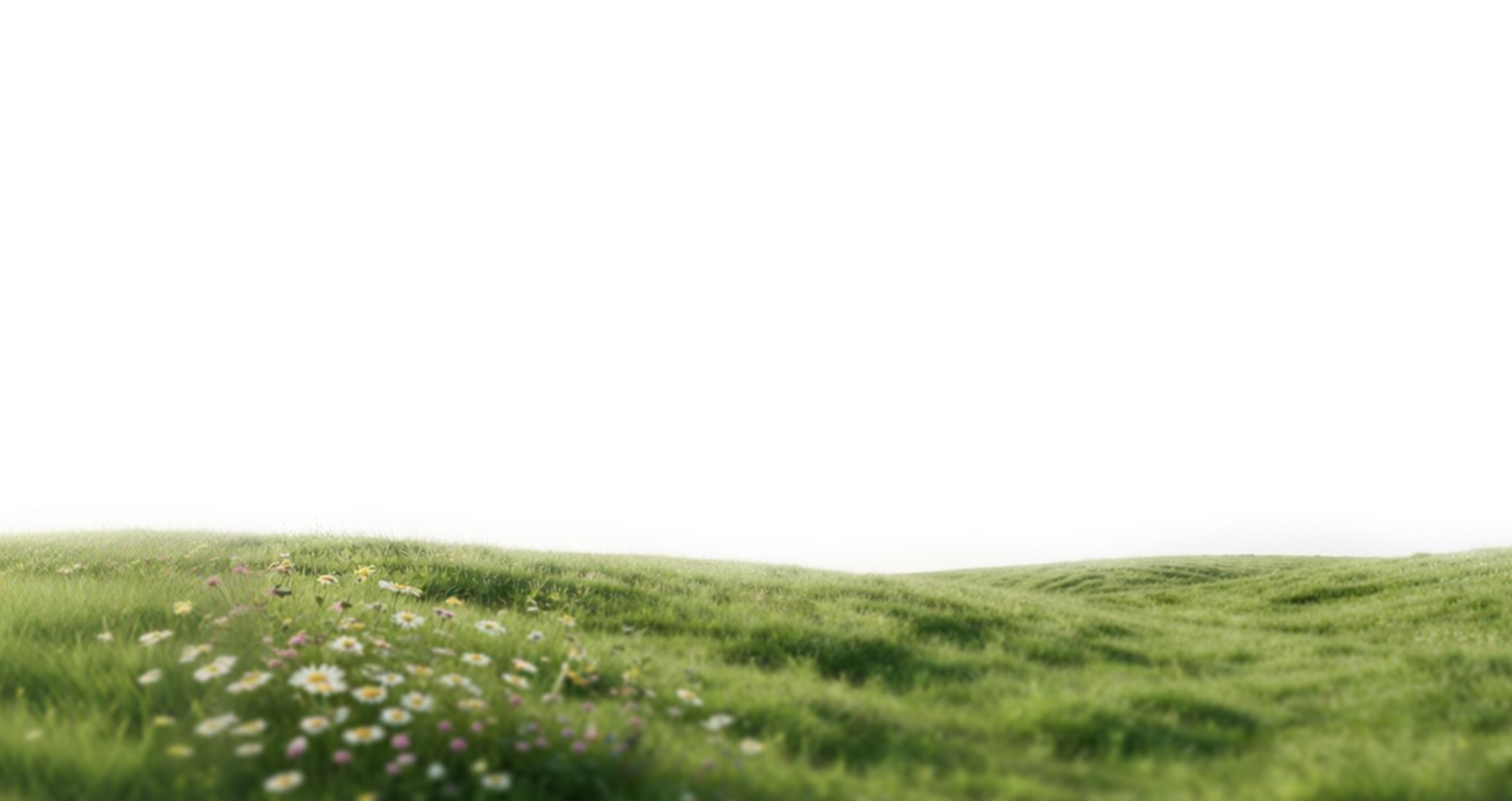 flower grass