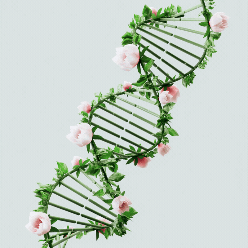 DNA animation